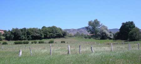 Pe&ntilde;a Careses en la Vega de Sariego (Asturias)