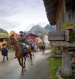 Caballos engalanado Carnaval Ponga