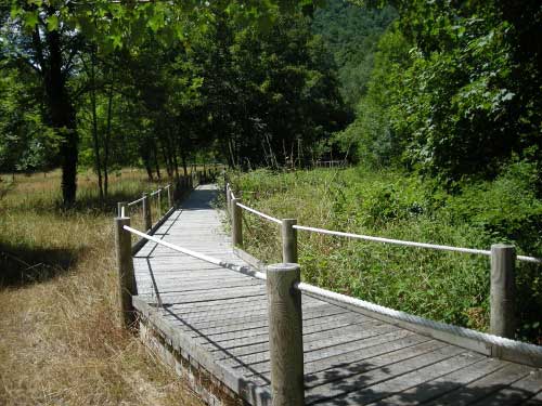 Senda de madera en Tablizas- Muniellos (Asturias)