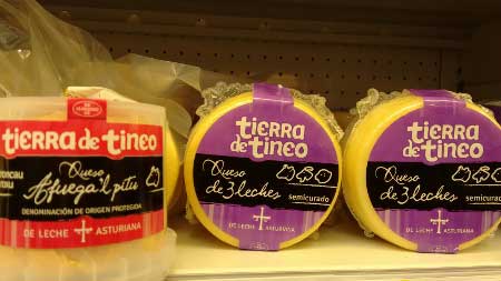 Quesos de Tierra de Tineo (Asturias)