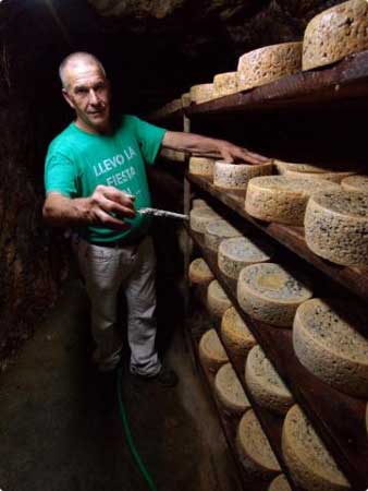 qUESER&Iacute;A vEGA DE tORN&Iacute;N. cABRALES (aSTURIAS-eSPA&Ntilde;A)