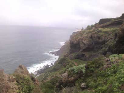 Acantilados en el Paisaje Protegido Rambla de Castro (Los Realejos-Tenerife)