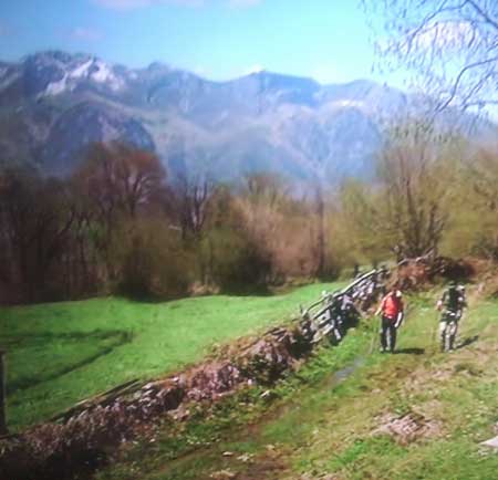 Parque de Redes. Asturias Central
