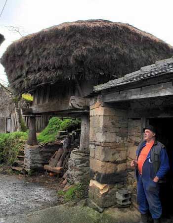 Hórreos con paja de centeno en Teixeira (Grandas de Salime-Asturias)